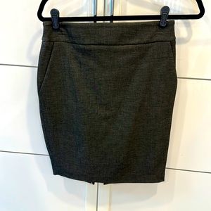 NWT Express skirt